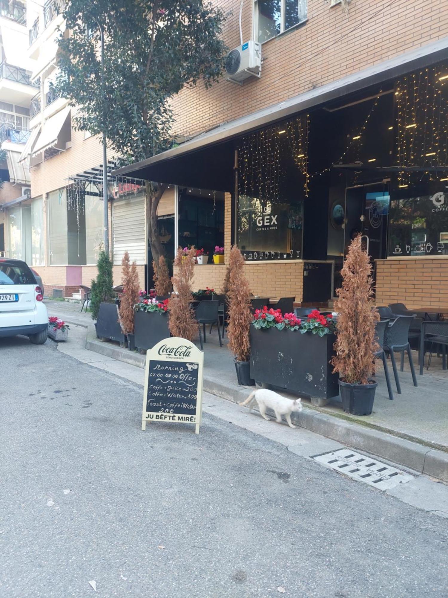 Gex Apartments Τίρανα Εξωτερικό φωτογραφία